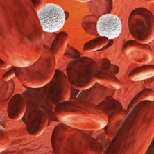 Thrombosis & critical ischemia